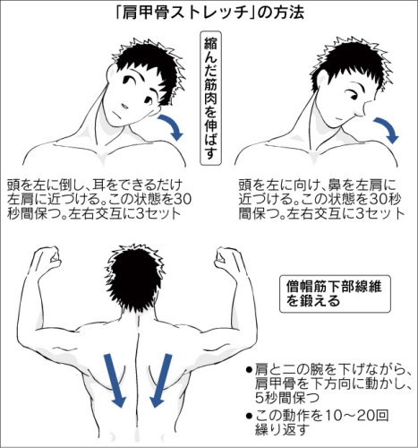 肩甲骨ストレッチで筋肉を伸ばす 肩甲骨ストレッチの方法