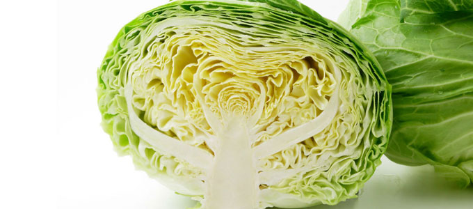 レタスの保存方法