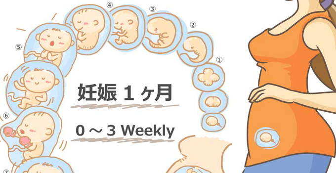 妊娠1ヶ月
