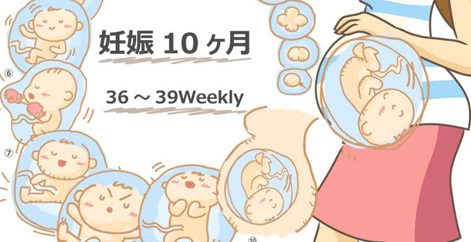 妊娠10ヶ月