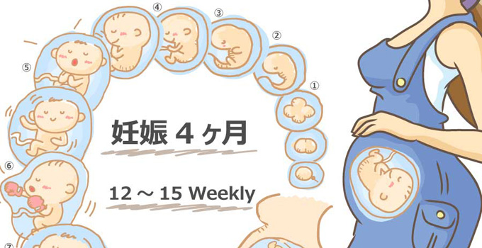 妊娠4ヶ月