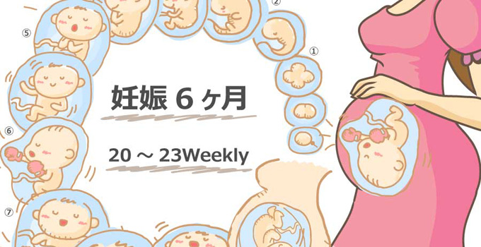 妊娠6ヶ月