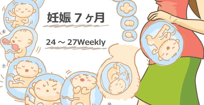 妊娠7ヶ月