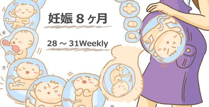 妊娠8ヶ月