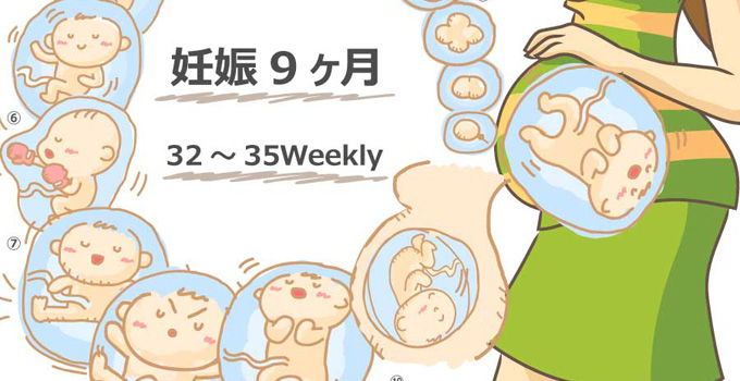 妊娠8ヶ月