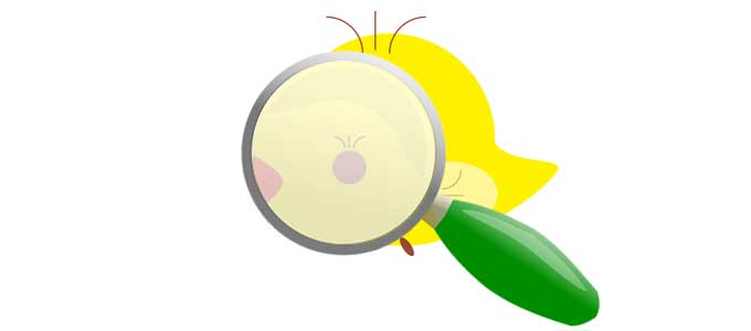 用語を調べるひよこ