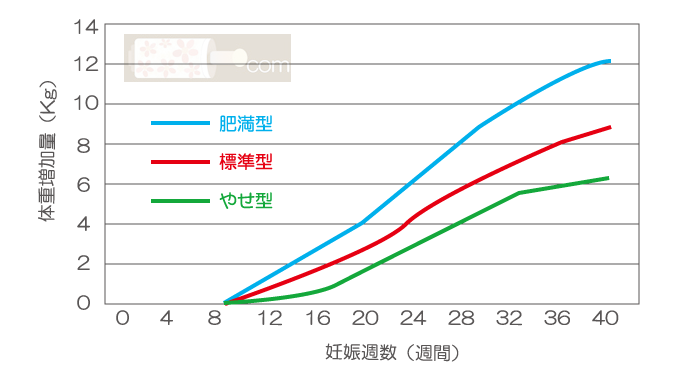 妊娠中の理想的な体重の変化