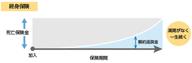 終身保険の保険期間イメージ