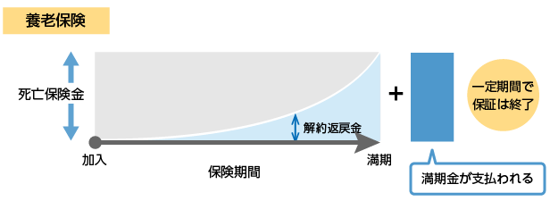 養老保険の保険期間イメージ