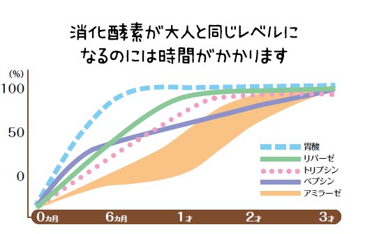 主婦の友社刊