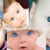Thumbnail of related posts 006