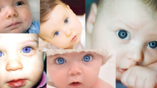 Thumbnail of post image 106