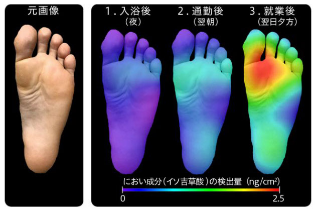 セントアイによる臭いの可視化